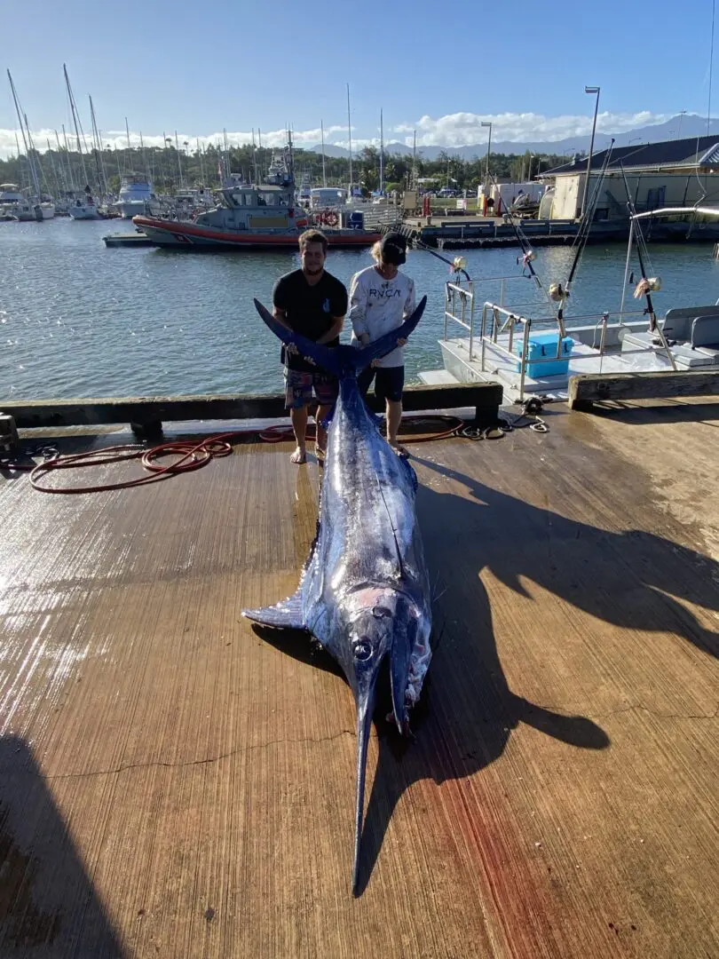 Two men standing on a dock with a large fish.