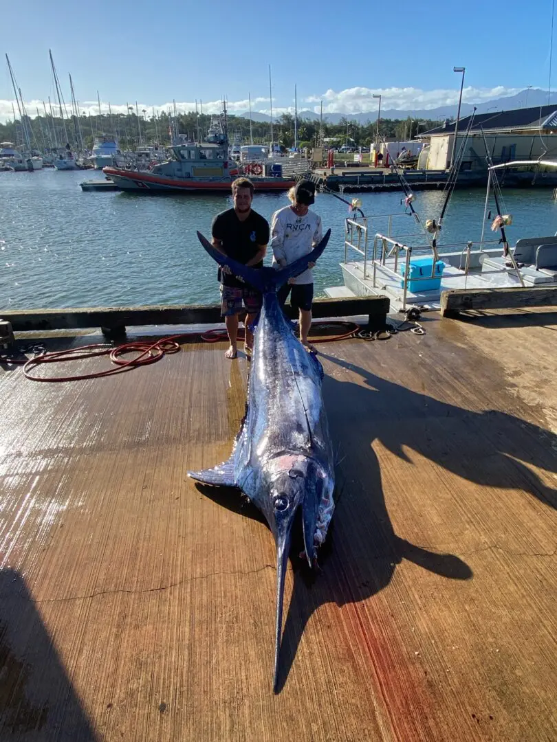 Two men standing on a dock with a large fish.