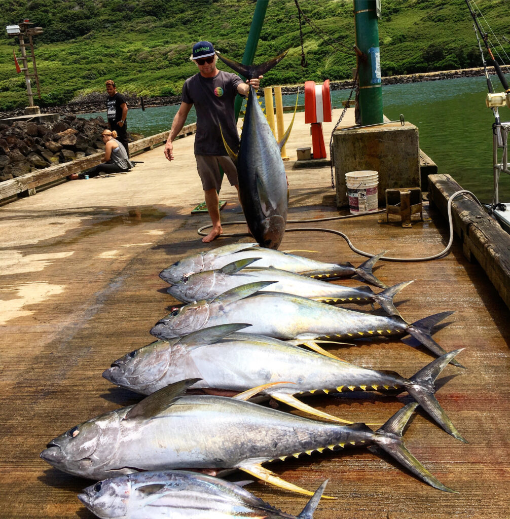 Can anyone say sushi.  Sustainable fishing practices is what we do.  All gets eaten locally.