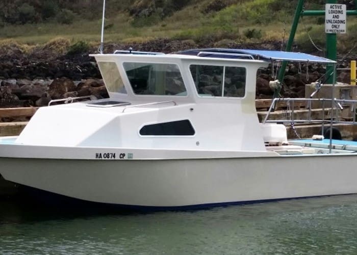 White boat docked at a marina.