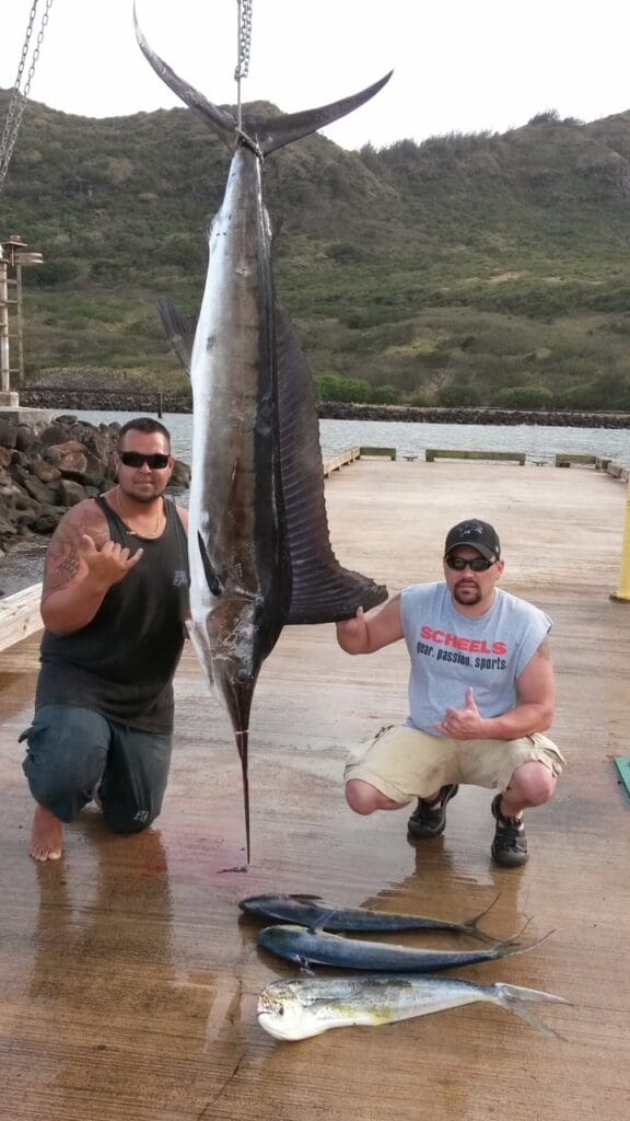 Two men with large marlin catch.